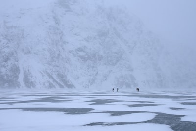 人走在白天冰雪覆盖领域
